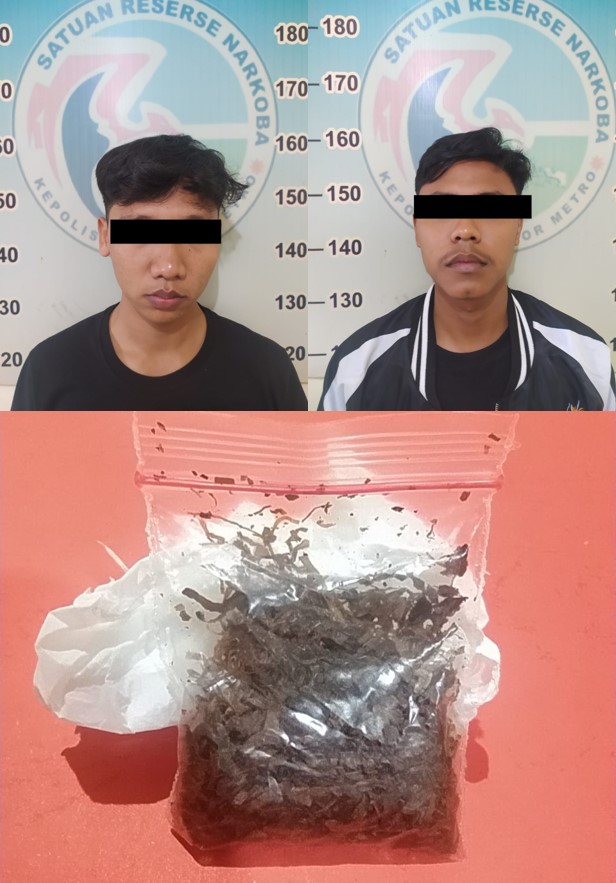 Bawa Tembakau Sinte, Dua Remaja Di Tangkap Polisi