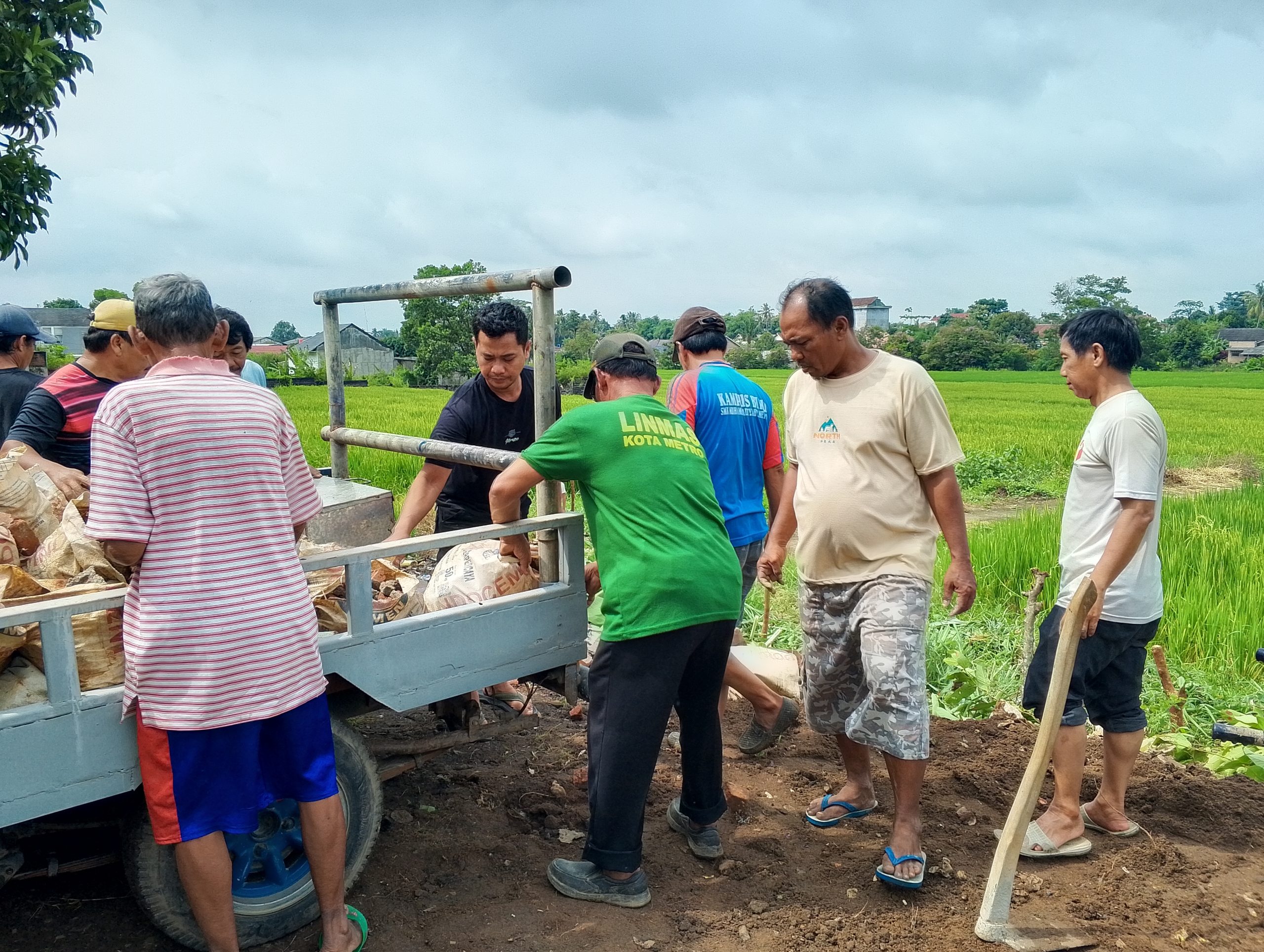 Gotong Royong Warga & Pamong di hamparan sawah Landbouw