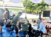 HMI—KAHMI Kota Metro Sembelih dan Bagikan Daging Kurban