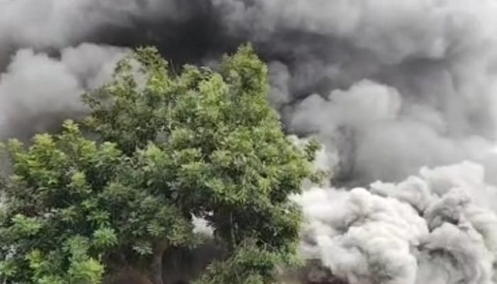 Pabrik PT. BSA di Lampung Tengah Dibakar Massa